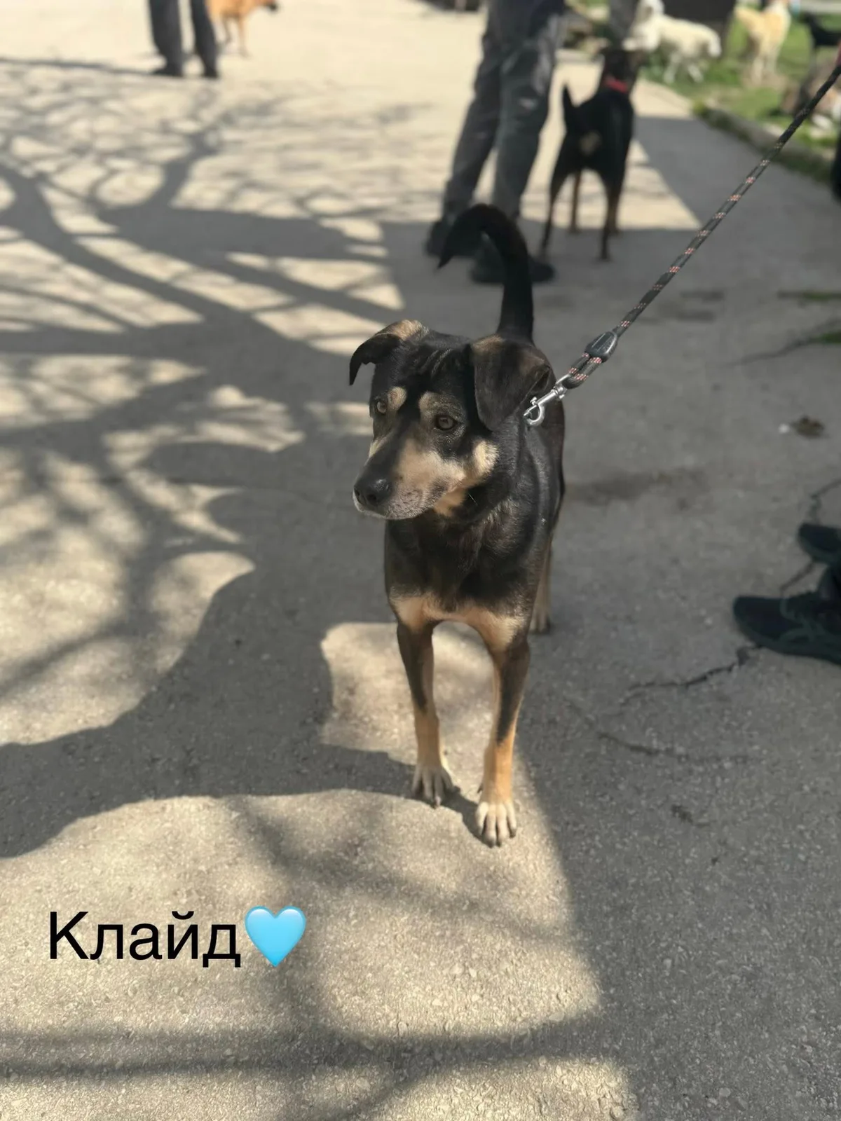 Бони и Клайд снимка 3